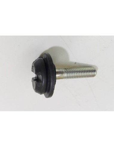 Tornillo M6 para montaje de accesorios smart fortwo 450