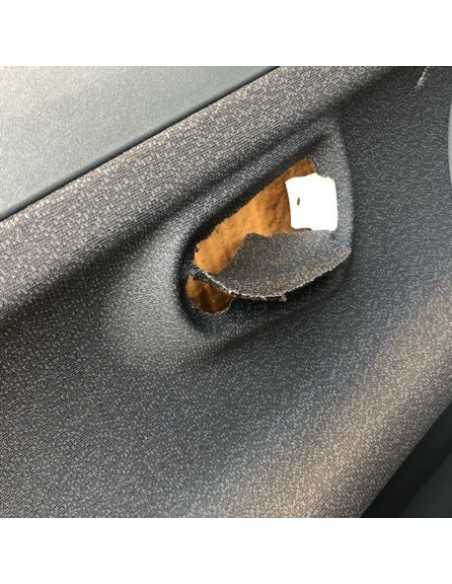 Ensemble de panneaux de porte Smart Roadster Gris gauche et droit