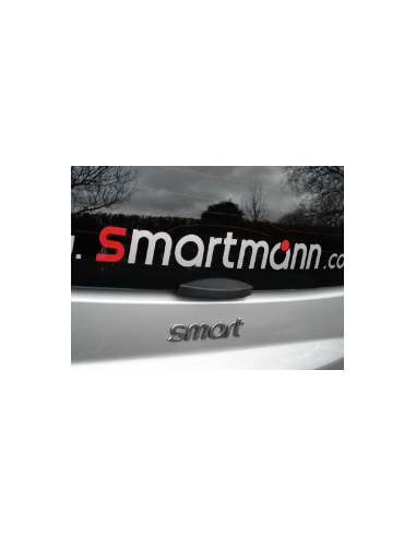 Poignée de lunette arrière S-Mann N451-01-09/B pour Smart Fortwo 451
