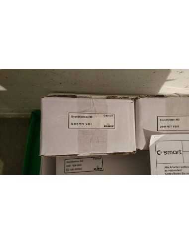 Sistema de som Brabus Smart Roadster original, item de colecionador ultra-raro